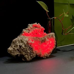 چراغ خواب سنگ نمک نورمون